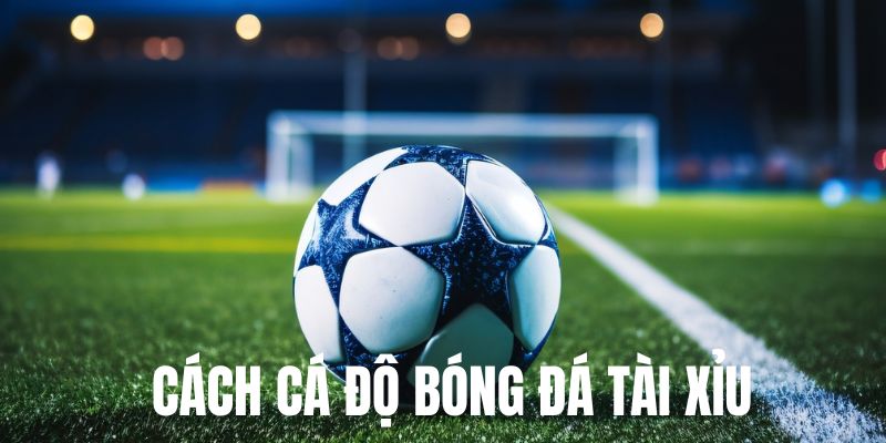 Giới thiệu tổng quan về cách cá độ bóng đá tài xỉu