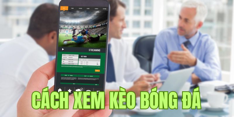 Tại sao phải biết cách xem kèo bóng đá?