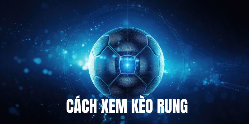 Tìm hiểu về cách xem kèo rung